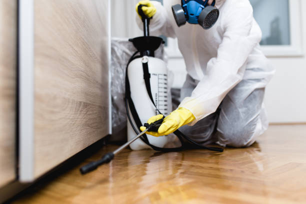 Best Affordable Pest Control Services  in Chickasha, OK