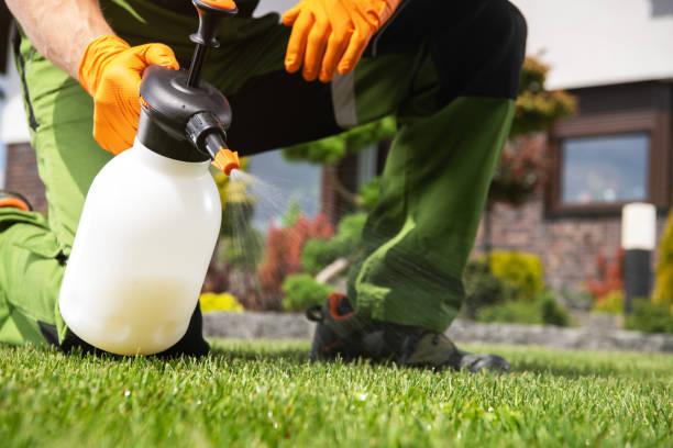 Best Pest Prevention Services  in Chickasha, OK