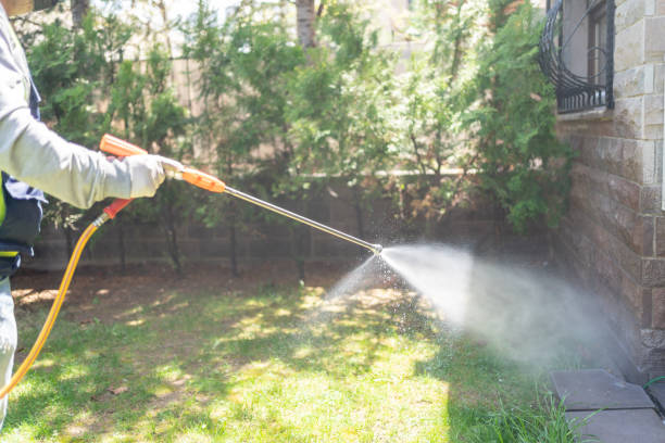 Best Termite Control Services  in Chickasha, OK