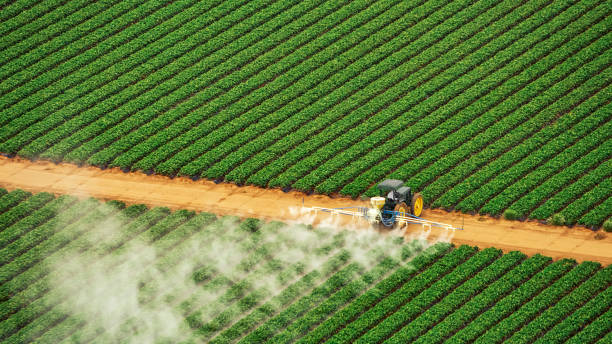 Trusted Chickasha, OK Pest Control Experts
