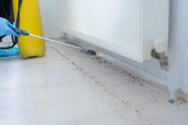 Best Pest Inspection Near Me  in Chickasha, OK
