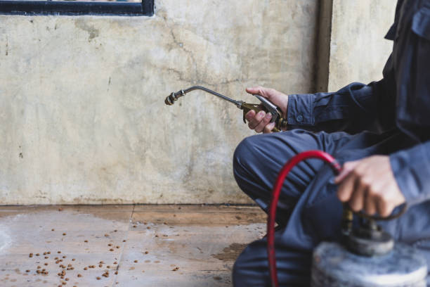 Pest Control for Restaurants in Chickasha, OK